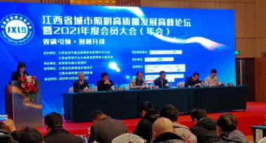 开云手机官方网站电保受邀参加江西省城市照明高质量发展高峰论坛